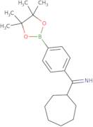 4-(Cycloheptyl)iminomethylphenylboronic acid pinacol ester