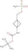 (3-((tert-Butoxycarbonyl)amino)bicyclo[1.1.1]pentan-1-yl)methyl methanesulfonate