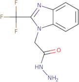 2-[2-(Trifluoromethyl)-1H-1,3-benzodiazol-1-yl]acetohydrazide