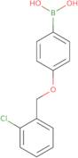 4-(2-Chlorophenylmethoxy)phenylboronic acid