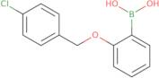 2-(4-Chlorophenylmethoxy)phenylboronic acid