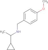 (1-Cyclopropylethyl)[(4-methoxyphenyl)methyl]amine