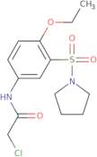 2-Chloro-N-[4-ethoxy-3-(pyrrolidine-1-sulfonyl)phenyl]acetamide