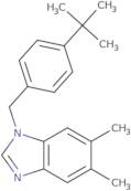 1-(4-tert-Butylbenzyl)-5,6-dimethyl-1H-benzimidazole