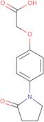 2-(4-(2-Oxopyrrolidin-1-yl)phenoxy)acetic acid