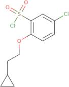 5-Chloro-2-(2-cyclopropylethoxy)benzene-1-sulfonyl chloride