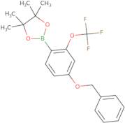 4-Benzyloxy-2-(trifluoromethoxy)phenylboronic acid pinacol ester