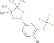 4-Bromo-3-(trifluoromethoxy)phenylboronic acid pinacol ester