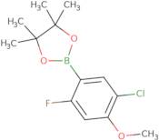 5-Chloro-2-fluoro-4-methoxyphenylboronic acid pinacol ester