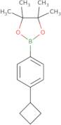 2-(4-Cyclobutylphenyl)-4,4,5,5-tetramethyl-1,3,2-dioxaborolane