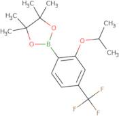 2-Isopropoxy-4-(trifluoromethyl)phenylboronic acid, pinacol ester