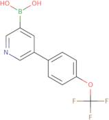 3-[4-(Trifluoromethoxy)phenyl]-pyridine-5-boronic acid