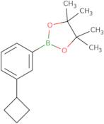 2-(3-Cyclobutylphenyl)-4,4,5,5-tetramethyl-1,3,2-dioxaborolane