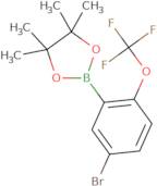 2-[5-Bromo-2-(trifluoromethoxy)phenyl]-4,4,5,5-tetramethyl-1,3,2-dioxaborolane