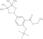 3-Ethoxycarbonyl-4-(trifluoromethoxy)phenylboronic acid pinacol ester