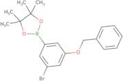 3-(Benzyloxy)-5-bromophenylboronic acid pinacol ester