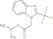 (2-Trifluoromethyl-benzoimidazol-1-yl)-acetic acid isopropyl ester