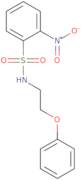 2-Nitro-N-(2-phenoxyethyl)benzenesulfonamide