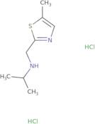 [(5-Methyl-1,3-thiazol-2-yl)methyl](propan-2-yl)amine