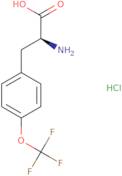 (S)-2-amino-3-(4-(trifluoromethoxy)phenyl)propanoic acid hydrochloride