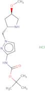 tert-Butyl N-(1-{[(2S,4R)-4-methoxypyrrolidin-2-yl]methyl}-1H-pyrazol-3-yl)carbamate hydrochloride