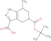 5-tert-Butoxycarbonyl-7-methyl-2,4,6,7-tetrahydropyrazolo[4,3-c]pyridine-3-carboxylic acid