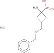 1-Amino-3-[(benzyloxy)methyl]cyclobutane-1-carboxylic acid hydrochloride