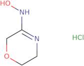 N-(5,6-Dihydro-2H-1,4-oxazin-3-yl)hydroxylamine hydrochloride