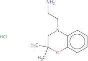 2-(2,2-Dimethyl-3,4-dihydro-2H-1,4-benzoxazin-4-yl)ethan-1-amine hydrochloride