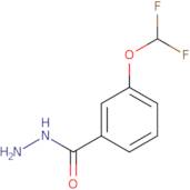 3-(Difluoromethoxy)benzohydrazide