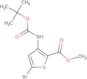 5-Bromo-3-tert-butoxycarbonylamino-thiophene-2-carboxylic acid methyl ester