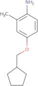 4-(Cyclopentylmethoxy)-2-methylaniline