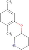 3-(2,5-Dimethylphenoxy)piperidine