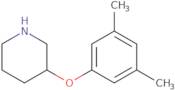 3-(3,5-Dimethylphenoxy)piperidine