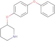 3-(4-Phenoxyphenoxy)piperidine