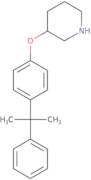 4-(1-Methyl-1-phenylethyl)phenyl 3-piperidinylether