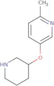 2-Methyl-5-(piperidin-3-yloxy)pyridine