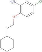 5-Chloro-2-(2-cyclohexylethoxy)aniline