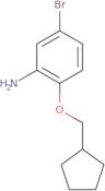 5-Bromo-2-(cyclopentylmethoxy)aniline