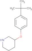 3-[4-(tert-Butyl)phenoxy]piperidine