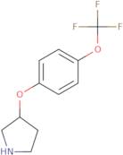 3-[4-(Trifluoromethoxy)phenoxy]pyrrolidine