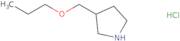 3-(Propoxymethyl)pyrrolidine hydrochloride