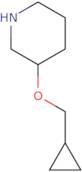 3-(Cyclopropylmethoxy)piperidine