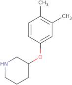 3-(3,4-Dimethylphenoxy)piperidine