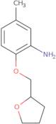 5-Methyl-2-(tetrahydro-2-furanylmethoxy)aniline