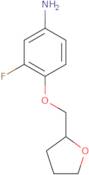 3-Fluoro-4-[(tetrahydrofuran-2-yl)methoxy]aniline