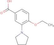 4-Ethoxy-3-pyrrolidin-1-yl-benzoic acid