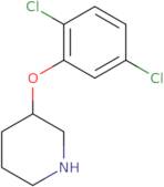 3-(2,5-Dichlorophenoxy)piperidine