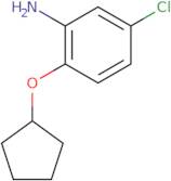 5-Chloro-2-(cyclopentyloxy)aniline