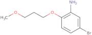 5-Bromo-2-(3-methoxypropoxy)aniline